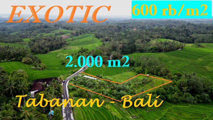 Exotic PROPERTY 2,000 m2 LAND IN TABANAN FOR SALE TJTB569