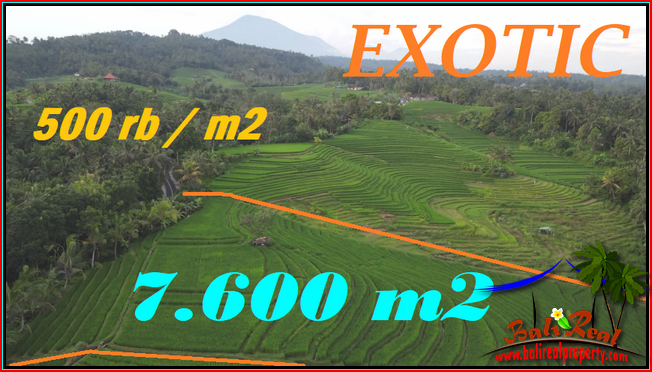 FOR SALE Beautiful 7,600 m2 LAND IN Selemadeg Timur Tabanan BALI TJTB570