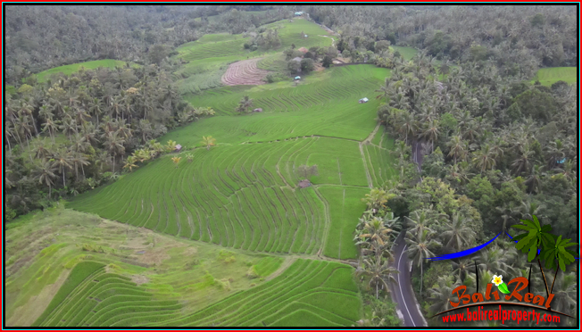 Cheap property 7,600 m2 LAND FOR SALE IN TABANAN TJTB570
