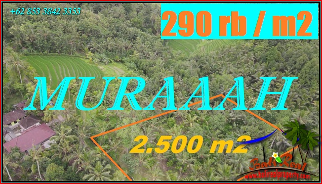 Magnificent PROPERTY 2,500 m2 LAND IN TABANAN FOR SALE TJTB573