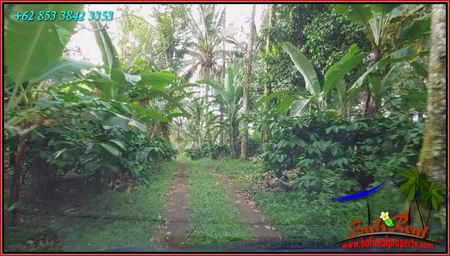 Magnificent PROPERTY 9,300 m2 LAND SALE IN TABANAN TJTB548