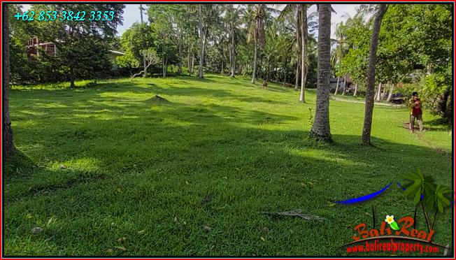 Magnificent PROPERTY 9,250 m2 LAND FOR SALE IN TABANAN TJTB550