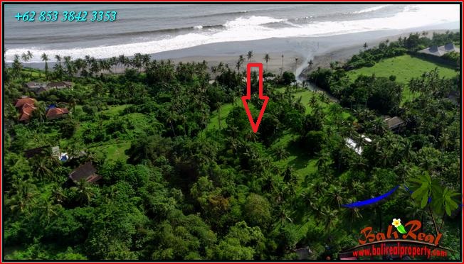 Magnificent PROPERTY 9,250 m2 LAND FOR SALE IN TABANAN TJTB550