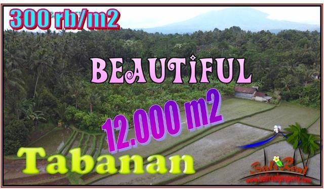 FOR SALE Affordable PROPERTY LAND IN TABANAN BALI TJTB554