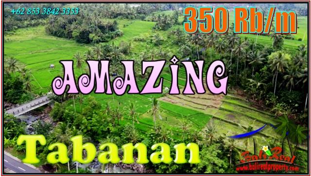 FOR SALE Exotic 2,400 m2 LAND IN Penebel Tabanan BALI TJTB562