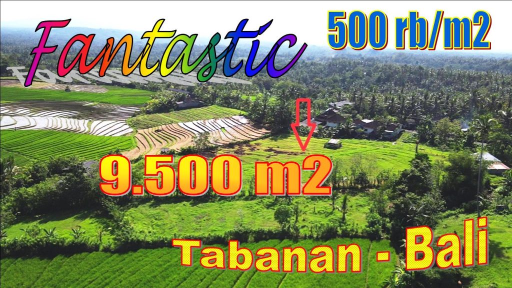 Magnificent PROPERTY 9,500 m2 LAND SALE IN TABANAN TJTB614