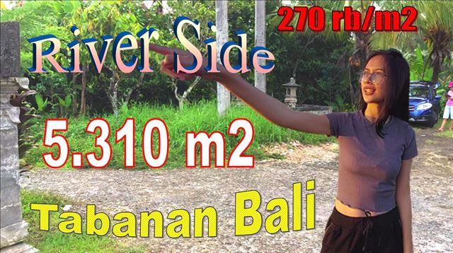 Magnificent Selemadeg Timur Tabanan BALI 5,310 m2 LAND FOR SALE TJTB617
