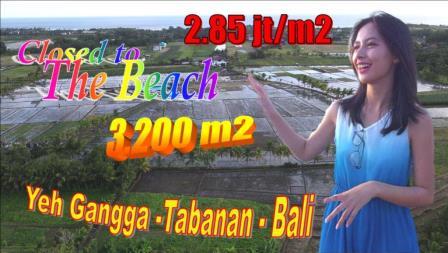 Affordable 3,200 m2 LAND FOR SALE IN Tabanan BALI TJTB639