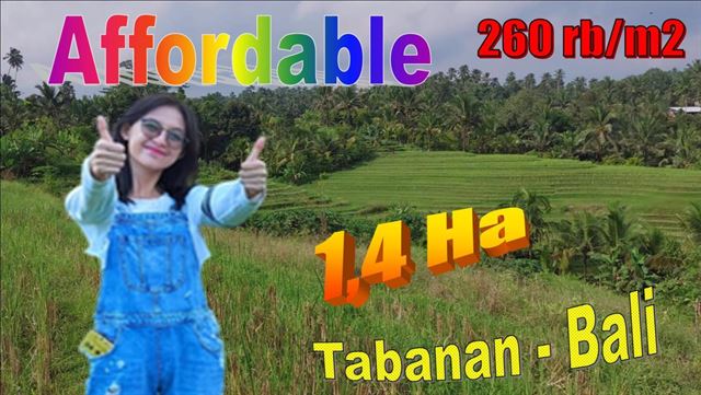 Beautiful PROPERTY 14,200 m2 LAND SALE IN TABANAN TJTB621