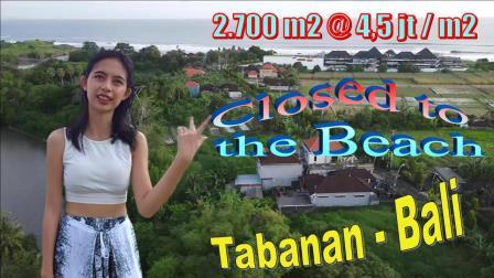 Beautiful Tabanan BALI 2,700 m2 LAND FOR SALE TJTB637