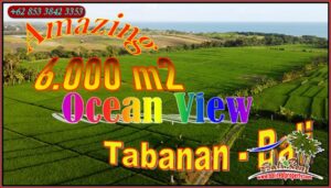 Affordable PROPERTY Kerambitan Tabanan LAND FOR SALE TJTB649
