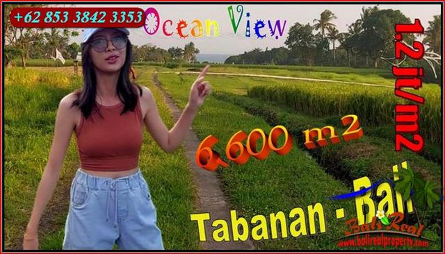 Magnificent PROPERTY 6.600 m2 LAND FOR SALE IN TABANAN TJTB650