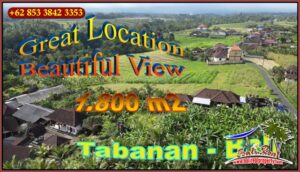 FOR SALE Affordable PROPERTY LAND IN TABANAN BALI TJTB654