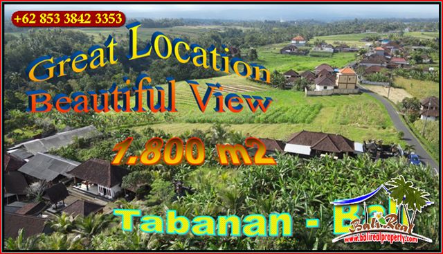 Beautiful LAND SALE IN TABANAN BALI TJTB654