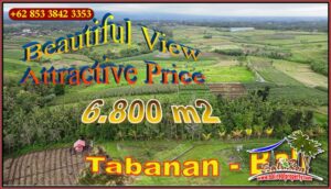 Beautiful PROPERTY 6,800 m2 LAND FOR SALE IN TABANAN TJTB655