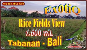 Ex0tic 1,600 m2 LAND IN Kerambitan Tabanan BALI FOR SALE TJTB658