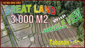 Beautiful PROPERTY 3,000 m2 LAND FOR SALE IN TABANAN TJTB660
