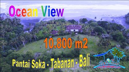 FOR SALE Ex0tic 10,800 m2 LAND IN Selemadeg Barat Tabanan BALI TJTB662