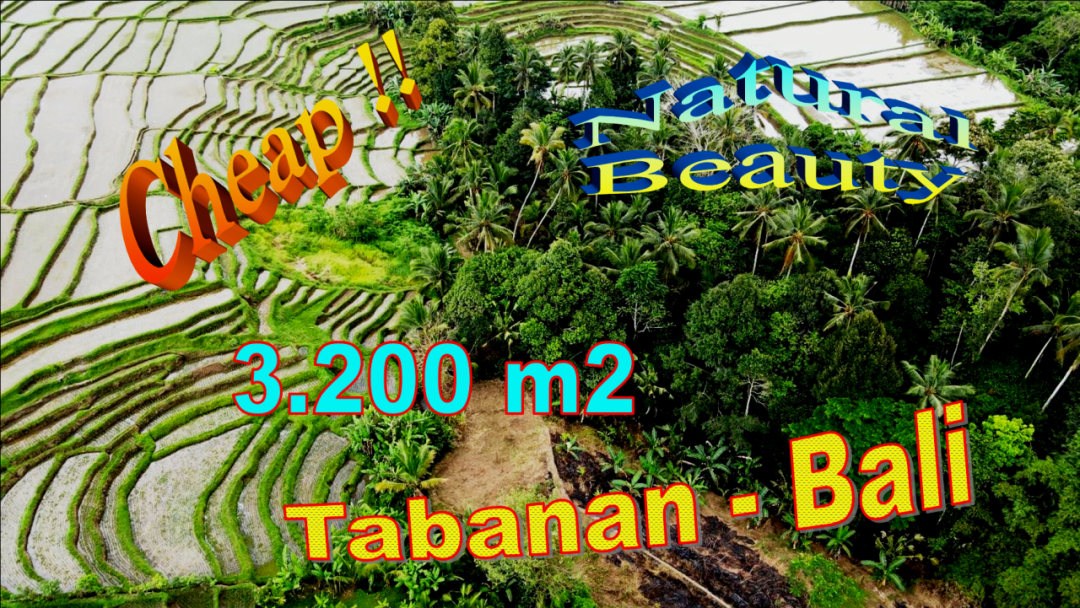 Exotic TABANAN BALI LAND FOR SALE TJTB682