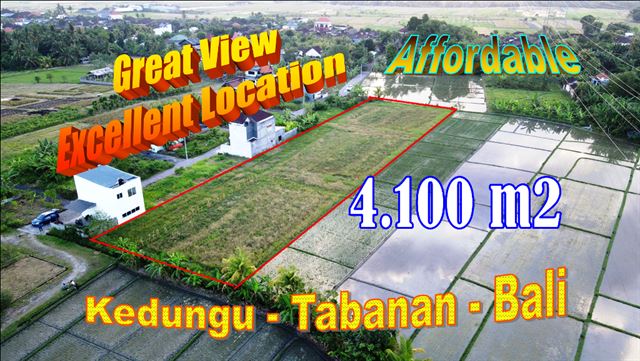 Magnificent PROPERTY 4,100 m2 LAND IN TABANAN FOR SALE TJTB623