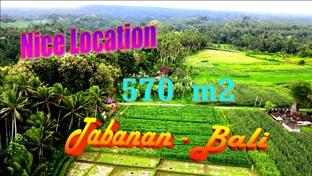 Beautiful PROPERTY Selemadeg Timur Tabanan BALI LAND FOR SALE TJTB633