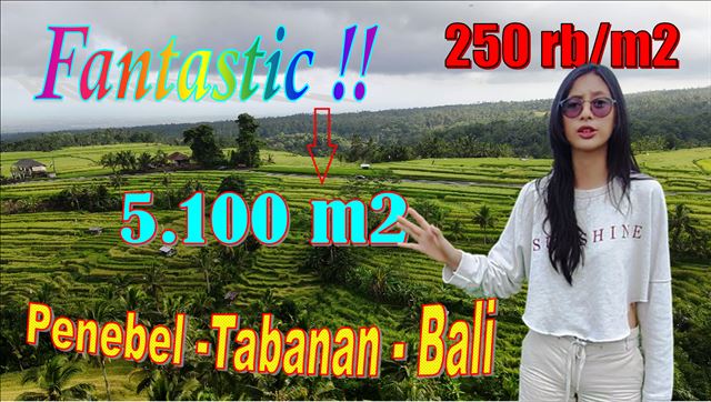 Magnificent PROPERTY LAND FOR SALE IN Penebel Tabanan BALI TJTB641