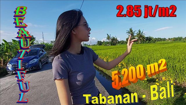 Affordable PROPERTY LAND IN Kediri Tabanan FOR SALE TJTB642