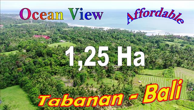 Magnificent PROPERTY TABANAN 12,500 m2 LAND FOR SALE TJTB669