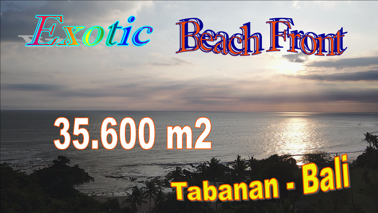 Beautiful PROPERTY LAND IN Selemadeg Barat Tabanan BALI FOR SALE TJTB672