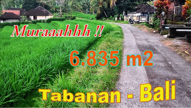Magnificent PROPERTY 6,835 m2 LAND IN TABANAN FOR SALE TJTB673