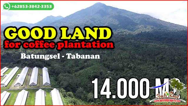 Affordable 14,000 m2 LAND IN Pupuan Tabanan BALI FOR SALE TJTB677