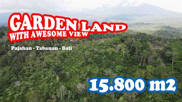 Affordable 15,800 m2 LAND FOR SALE IN Pupuan Tabanan BALI TJTB678
