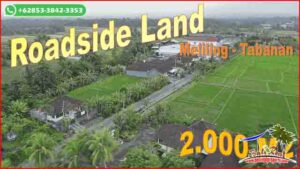 Ex0tic PROPERTY 2,000 m2 LAND IN TABANAN FOR SALE TJTB679