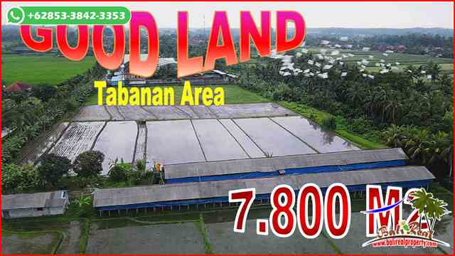 Exotic Kerambitan Tabanan BALI 7,800 m2 LAND FOR SALE TJTB681