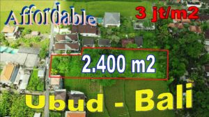 FOR SALE Exotic LAND in UBUD BALI TJUB845