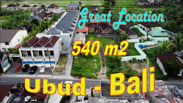 Beautiful PROPERTY LAND in Sukawati Ubud for SALE TJUB852