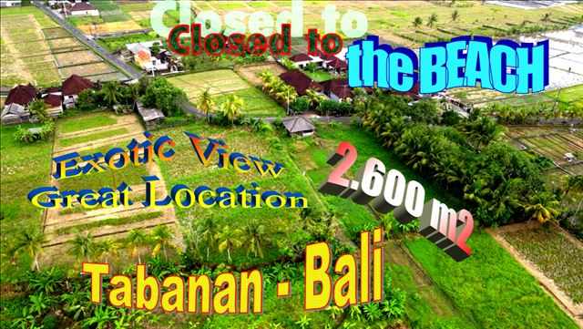2,600 m2 LAND IN Tabanan BALI FOR SALE TJTB634