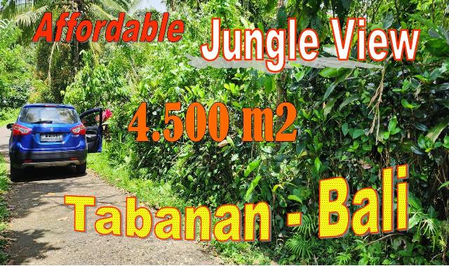 Exotic LAND FOR SALE IN Penebel Tabanan TJTB697