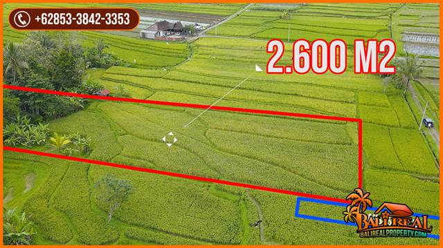 FOR SALE Cheap property LAND IN Penebel Tabanan TJTB691