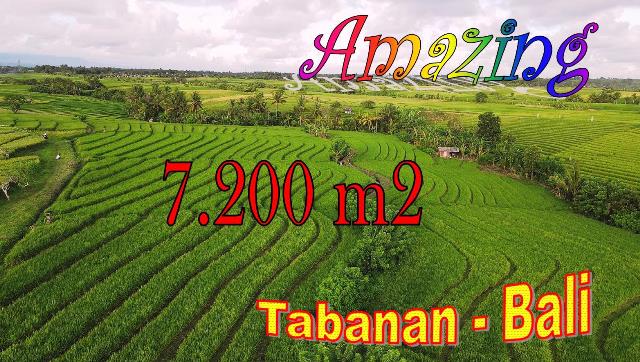 FOR SALE LAND IN TABANAN TJTB702