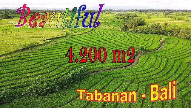 Affordable LAND FOR SALE IN TABANAN BALI TJTB703