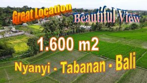 Magnificent PROPERTY 1,600 m2 LAND FOR SALE IN TABANAN TJTB711