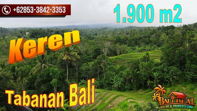 Exotic PROPERTY 1,900 m2 LAND SALE IN Penebel Tabanan BALI TJTB707