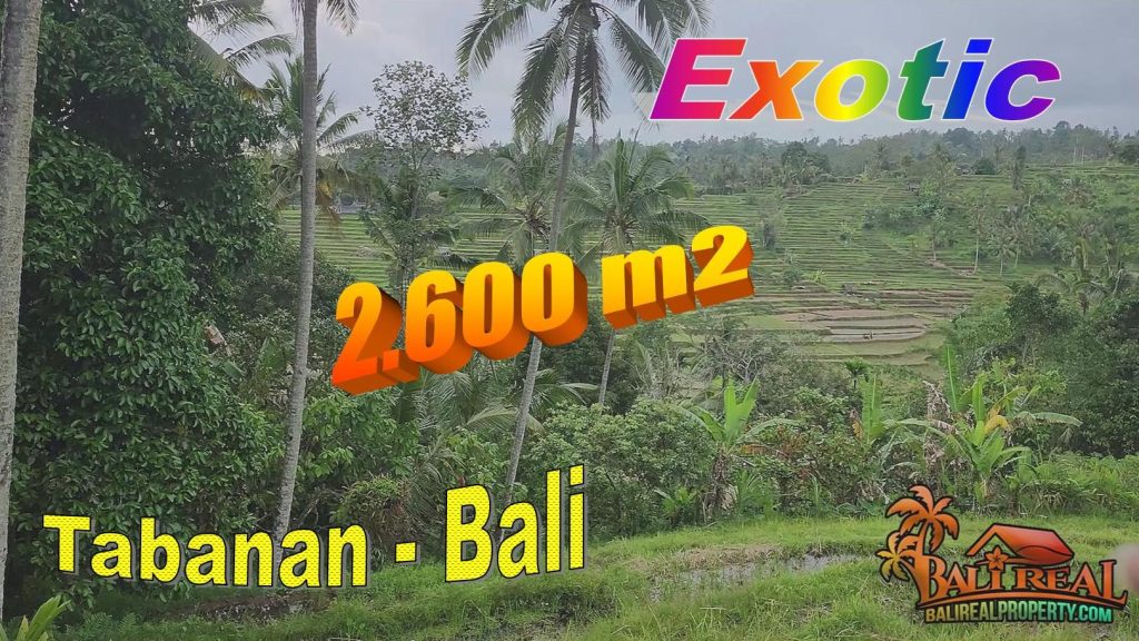 FOR SALE 2,600 m2 LAND IN Penebel Tabanan TJTB708