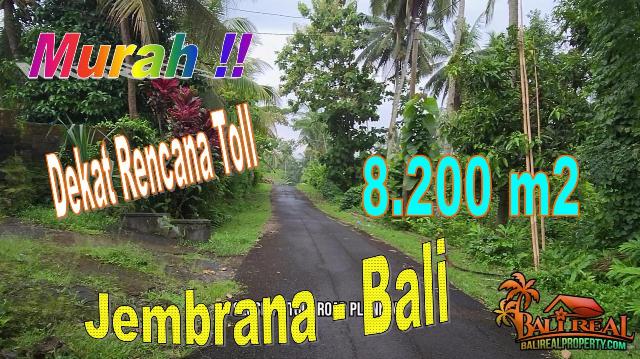 Magnificent Jembrana Bali LAND FOR SALE TJTB718