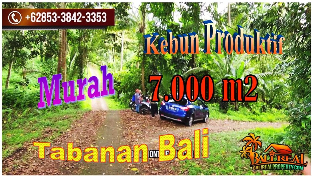 Exotic PROPERTY 7,000 m2 LAND IN TABANAN FOR SALE TJTB721