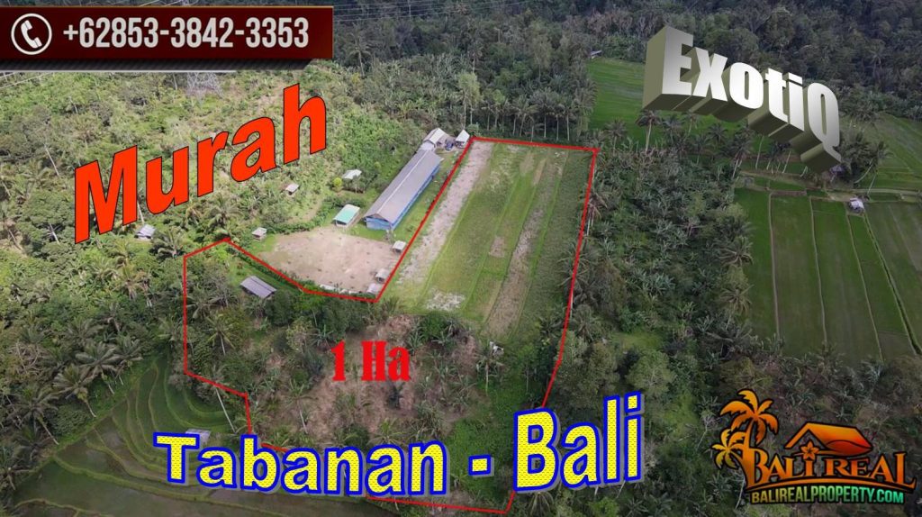 FOR SALE Ex0tic 10,000 m2 LAND IN Pupuan Tabanan BALI TJTB726