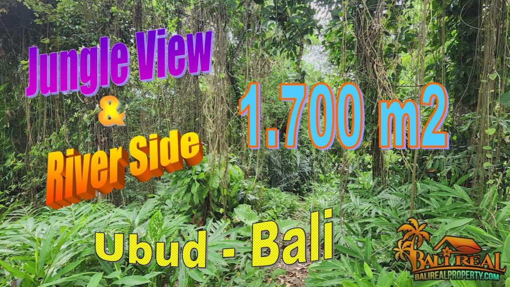 Beautiful LAND for SALE in Sukawati Ubud TJUB856