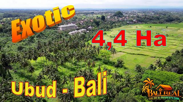 Beautiful 44,000 m2 LAND SALE in Ubud BALI TJUB858