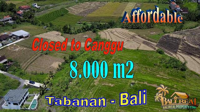 FOR SALE Magnificent PROPERTY LAND IN Kediri, Tabanan BALI TJTB734